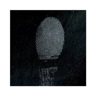 Sirchie Regular Gray Magnetic Fingerprint Powder