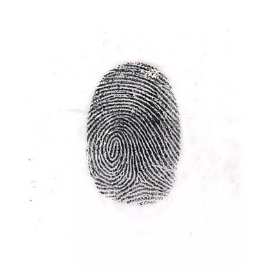 Sirchie Regular Midnight Black Magnetic Fingerprint Powder