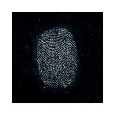 Sirchie Regular Silk Gray “Hi-Fi” Volcano Latent FIngerprint Powder