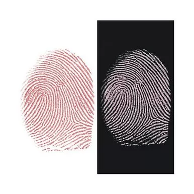 Sirchie Regular Silver/Red Magnetic Fingerprint Powder