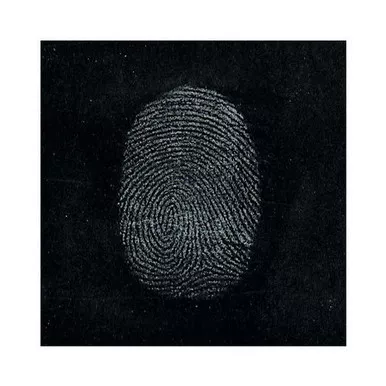 Sirchie Silver Metallic “Hi-Fi” Volcano Latent FIngerprint Powder