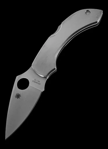 Spyderco Dragonfly Stainless Steel Folding Knife