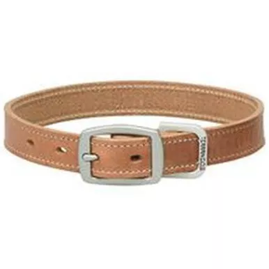 Straight Collar Leather - Russett, 1" x 19"