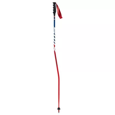 SWIX Wc Pro Sg Carbon Poles