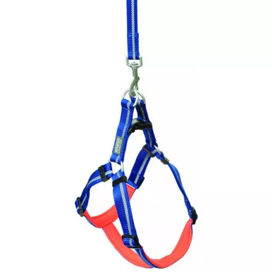 TERRAIN D.O.G. 07-9364-R12 Medium Harness Dark Blue/Orange