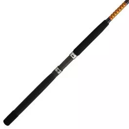 Ugly Stik Bigwater Conventional Rods