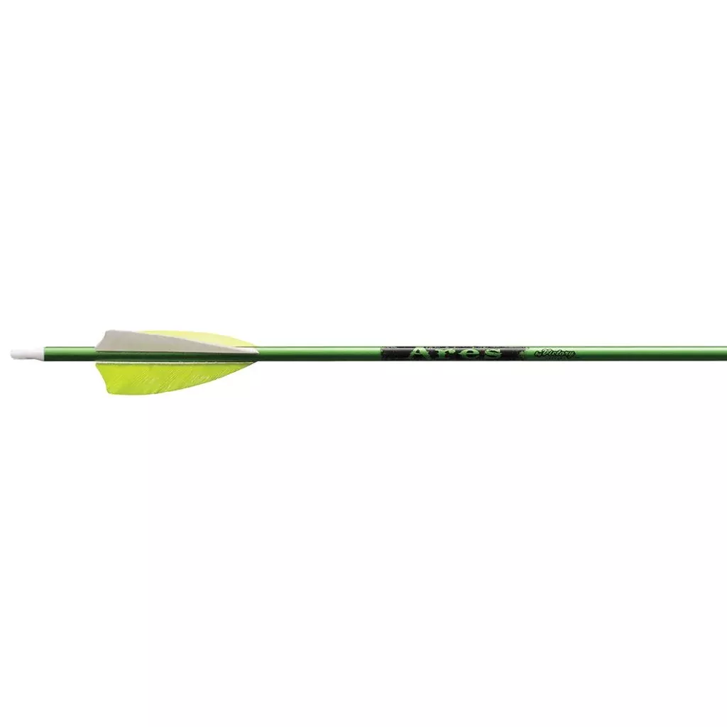 Victory Ares Youth Arrows