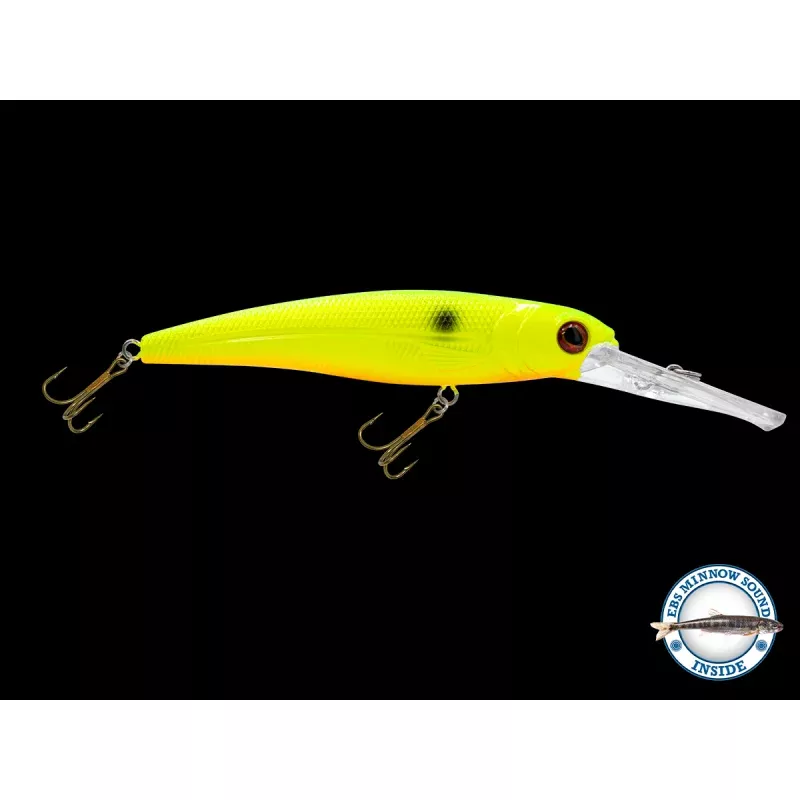 Voyager 15 Walleye