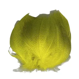 Wapsi Mallard Barred Flank - Mayfly Yellow