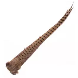 Wapsi Ringneck Tail Clump - Natural