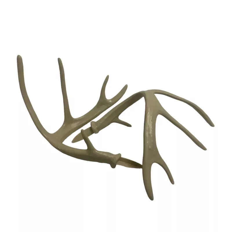 Whitetail Deer Replacement Antlers
