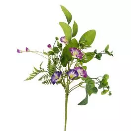 Will's Company Morning Glory Spray