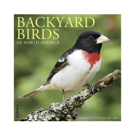 Willow Creek Press 2027 Calendar - 12" x 12" - Backyard Birds