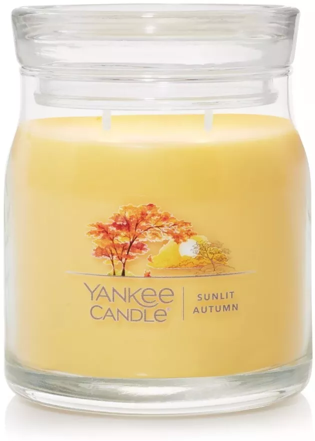 Yankee Candle Sunlit Autumn 9.7 Oz.