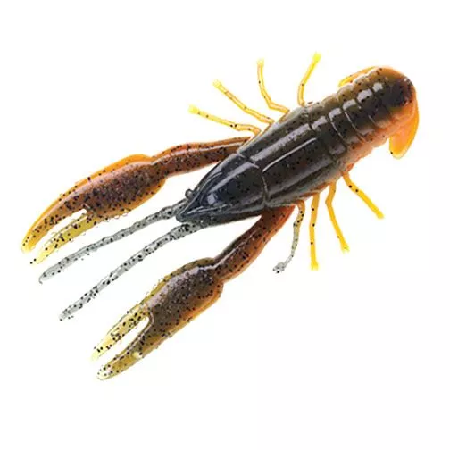 Yum Crawbug